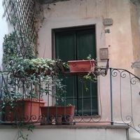 Agnes Lempriere的照片