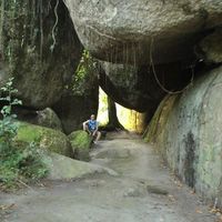 Rafael Ribeiro's Photo