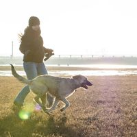 Alexandra Telea's Photo