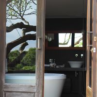 Lin Jenny K的照片