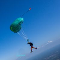 Nikola Cicovacki的照片