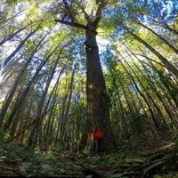 Fotos de Neea Alarcón