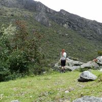 attenas Carolina的照片