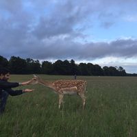 Ulises Guerrero的照片