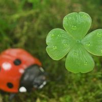 maria idalia Acevedo's Photo