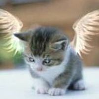 Bruno Sampietri's Photo