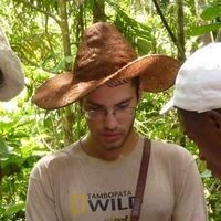 Julian Moll-Rocek的照片