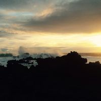 Fotos de ikauro  triher