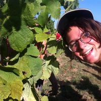 Photos de Laurie Guellec