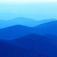 asal ahmadi的照片