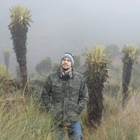 Le foto di Jose Buitrago