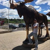 Luís silva2的照片