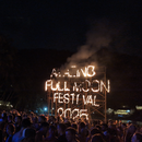 Full Moon Party Meetup's picture