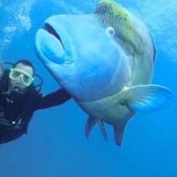 Behrouz Rahimi Tari's Photo