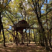 Alain Arnaud's Photo