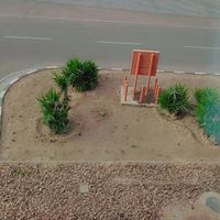 Sara Abdelrahman的照片