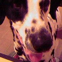 Michela Finetti's Photo