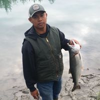 Fotos de esbei arurang