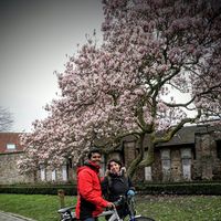 Irene Torres的照片