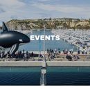 Festival Of Whales!! Our Gray Whales Are Here 's picture