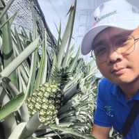 Willie Khoo的照片