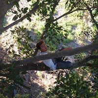 Pablo Scheidegger Gomez的照片