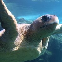 jeremy jeremy's Photo