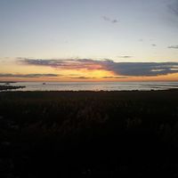 Sonia Capone的照片