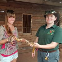 Susen Hohensee's Photo