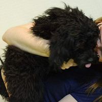 Lydia Phillips's Photo