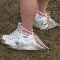 Emidio Bruno的照片