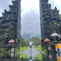 Mohamed Shahin's Photo