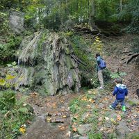 Milenko Lazic's Photo