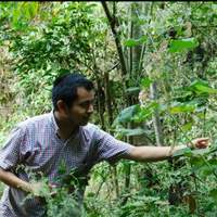 Fotos de Lalo Loaeza