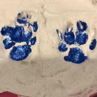 Charlene Long的照片