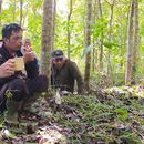 Slow Walk & Sundanese Coffee from Agroforestry's picture