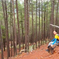 Ronel Vincent Vistal's Photo