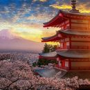 Japan Trip October 2025's picture