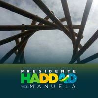 Vicente Medaglia的照片