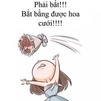 Fotos de Trần Hải Đường Nguyễn