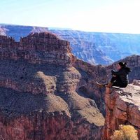 Johanna Perez Vallejo's Photo