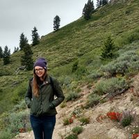 Lisa Curtin的照片