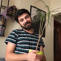 Utku Yaman's Photo