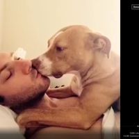 Ronny Graves的照片