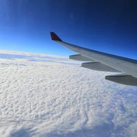 Tanya Kushwahaa's Photo