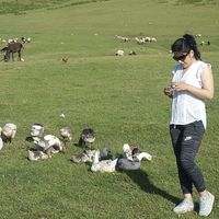 Najmeh Ebrahimi's Photo