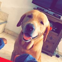 Andrés Fernández的照片