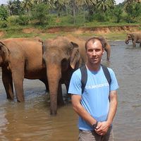 John Woodward's Photo