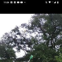 Juan cruz Sanchez的照片