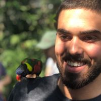 Carlos Filho的照片